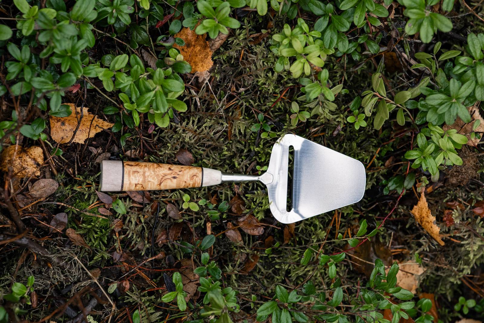 Cheese Slicer - reindeer antler and Curly Birch - Image 2