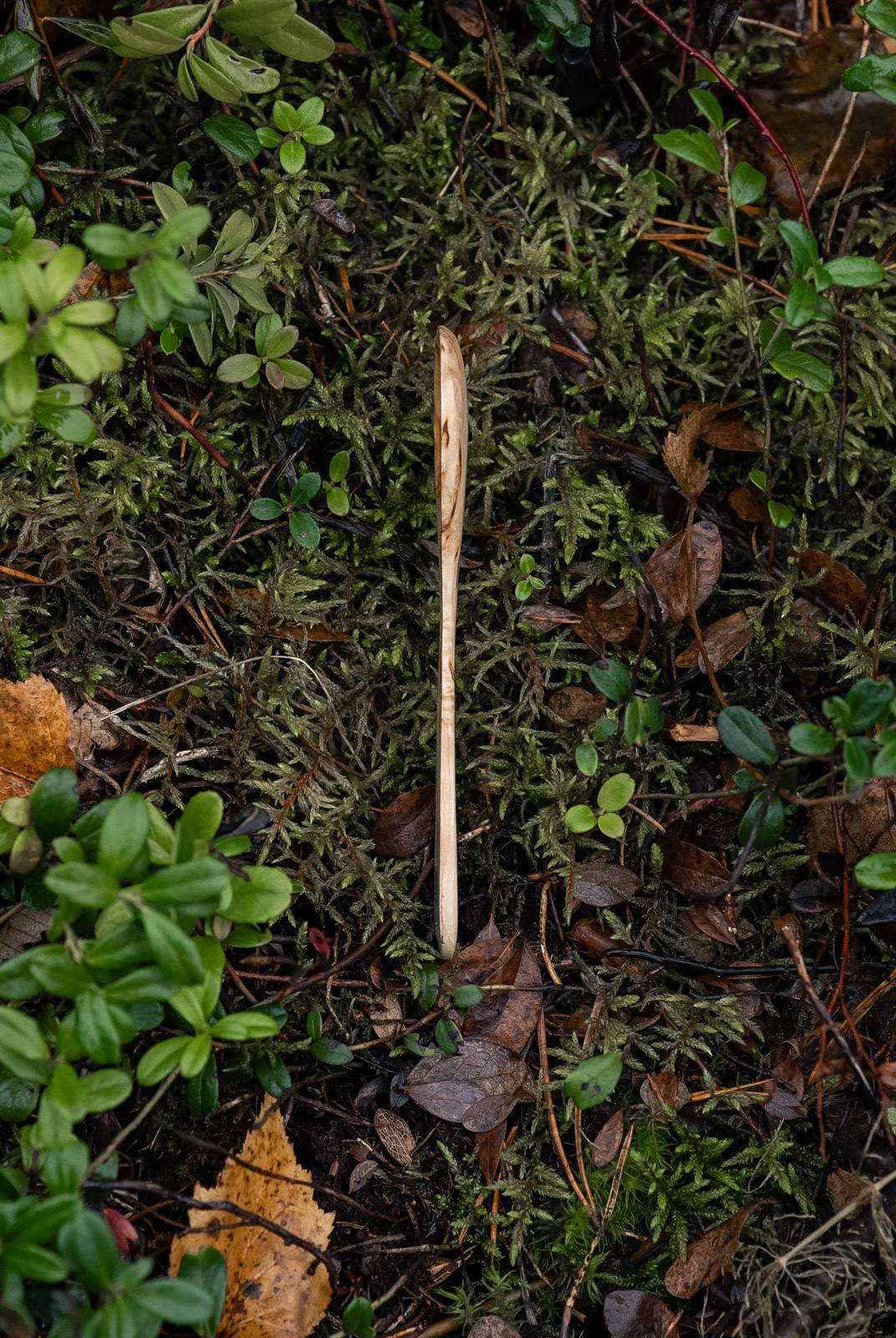 Sugar Spoon - Image 2